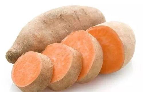 谜语吃瓜的地瓜,揭秘“吃瓜的地瓜”之谜