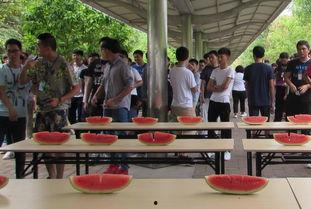 校园吃瓜大赛现场,舌尖上的狂欢，瓜王争霸一触即发