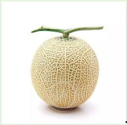 婆娑吃瓜,揭秘娱乐圈的甜蜜与苦涩