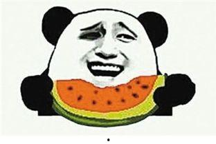 吃瓜群众杨阿姨