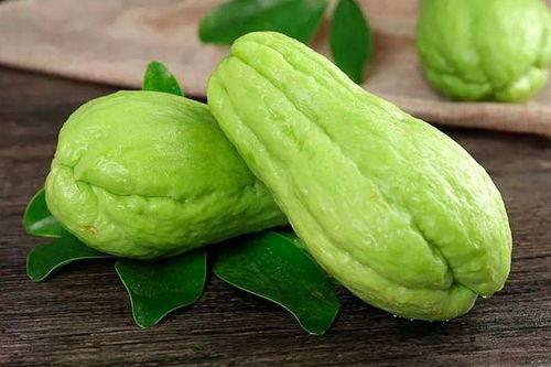 羊吃佛手瓜,羊吃佛手瓜的温馨瞬间