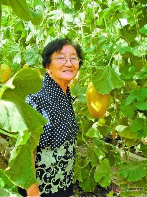 马芳吃瓜,揭秘娱乐圈背后的那些事儿