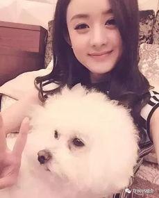 吃瓜姑姑王源